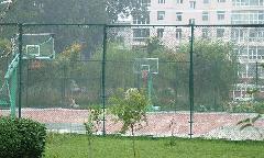 高品质喷涂产品生产厂家 星鑫金属喷涂厂护栏网解决方案